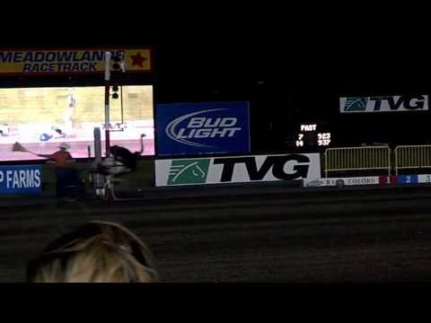 2nd Annual Ostrich Pace at The Meadowlands