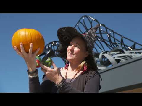 "Hexensommer" 2024 Hexenwasser Söll