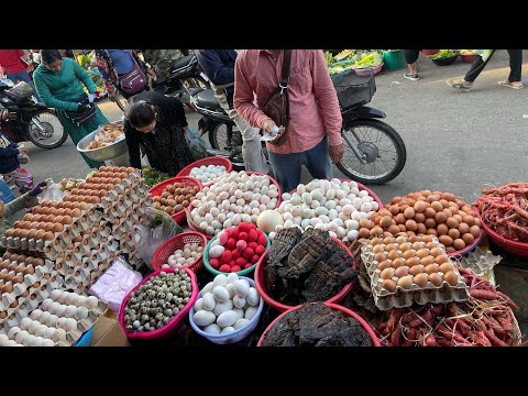 Cambodian Tour In Market |Early Morning Fish Market In Poi pet City  Fish,crab,Seafood,Eggs,Corn