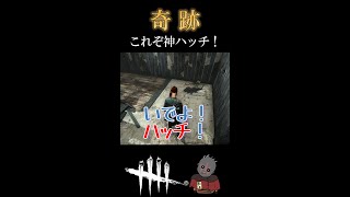 【DBD】これぞ神ハッチ！奇跡を起こしました！！ #shorts