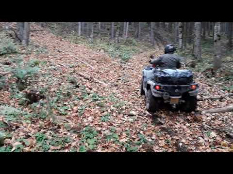 Rumunsko Perla Padurii 5