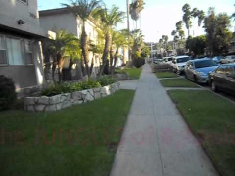 Adventures of Honey FoXXX 1