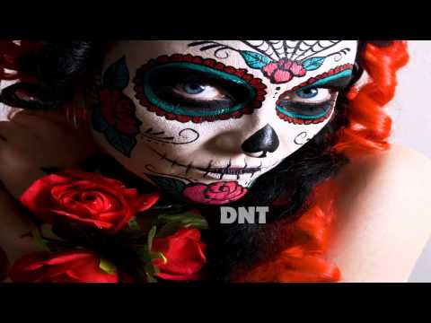 Arctic Moon feat Noire Lee  *Revolution*  (Original Mix)