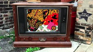 Wooden Wand - Bones For Doctor Swah (from The Sound The Hare Heard)