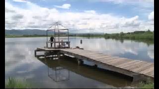 Рыбалка в алтайском крае и на что ловить
