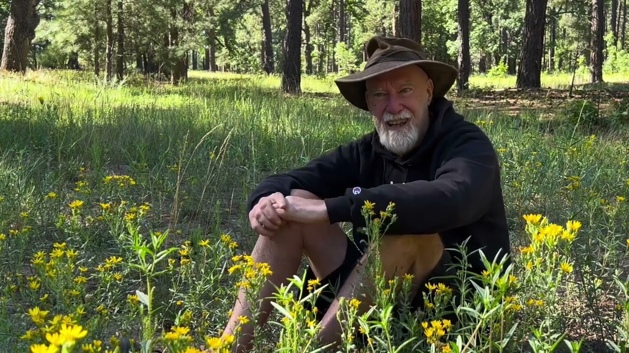 Nomads Talk About Depression on the Road, Mental Health in VAN Life!