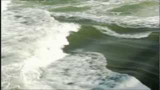 Naar Nederland (MandarinVoice.com)