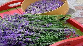 DE COLORES  NANA MOUSKURI