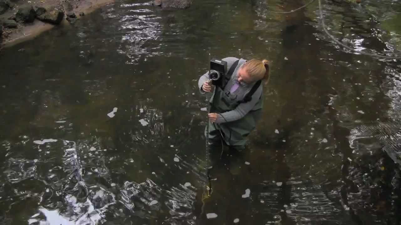 Water Resources Engineer | CAREERwise Education