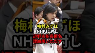 梅村みずほ移民数増大に危機感がない総理に釘を刺す梅村みずほ移民数増大に危機感がない総理に釘を刺す #政治 #ニュース #高市政権 #参政党 #梅村みずほ