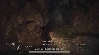 オープニング変わってる！ドラゴンズドグマ２(実況)PS5配信＃２０