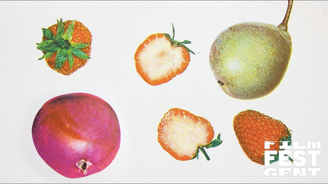 Rachel Portman (UK) x Diana Cam Van Nguyen (Czech Republic, Vietnam) - Dancing Fruit