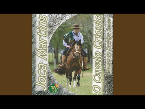 O Valor Do Cavalo Crioulo - Joca Martins