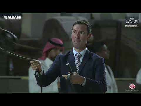 N 116 BAHIYA S B M   Katara Int  Arabian Horse Festival 2023   Fillies 3 Years Old Class 3B