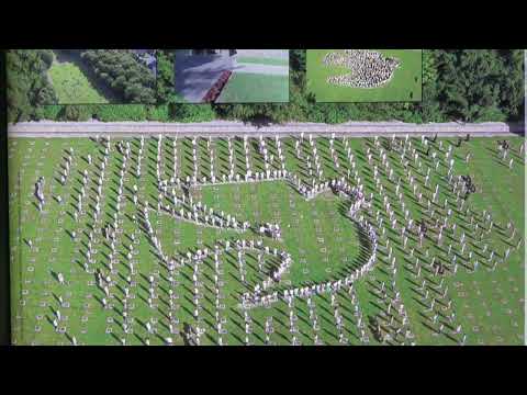 Soldatenfriedhöfe im Hürtgenwald