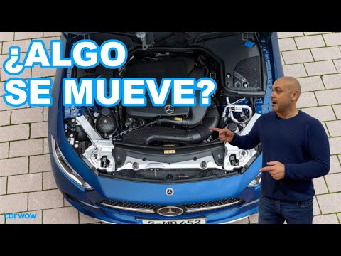 SALVARÁN LOS COMBUSTIBLES SINTÉTICOS AL MOTOR DE COMBUSTIÓN?