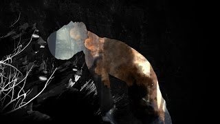 PUZZLE - Trial By Fire (Official Music Video)