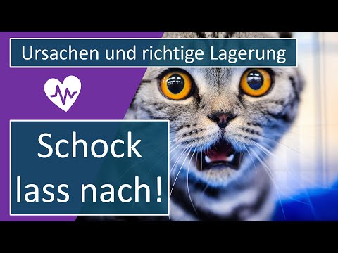 Schock | Erste Hilfe Tutorial