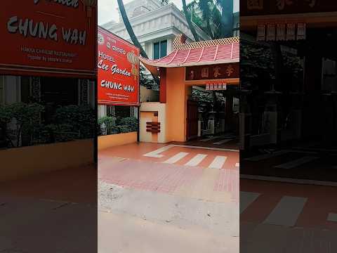 Os melhores restaurantes - Chinesa - Puri - Lee Garden, Puri #shorts