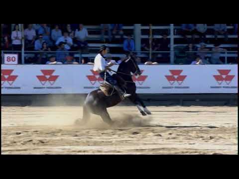 Aberta de Esteio (RS) - 7º lugar machos - Maria Bassa De Repente (Prova: Bayard/Sarmento)