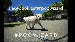 Poo Wizard | Truro Pet Service Company