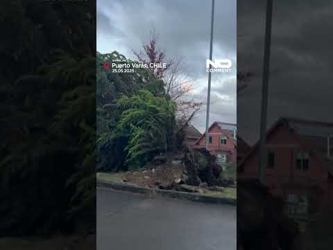 Tornado leaves trail of destruction in Puerto Varas #shorts #nocomment #chile