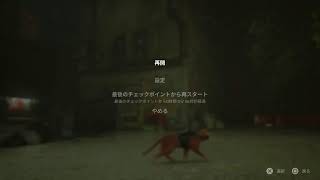 【Stray】ねこちゃんと行く1