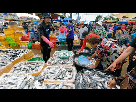 Massive Distribution Site Wholesale Fish Market in Phnom Penh @Chhbar Ampov Market - Fish Market