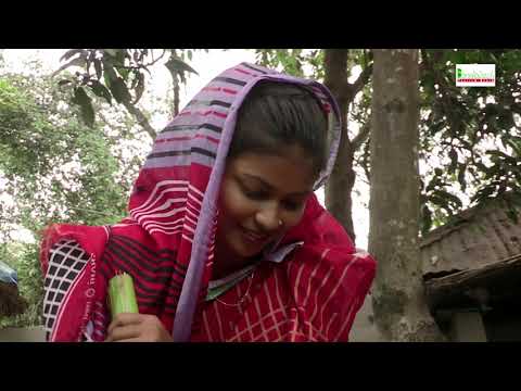 Documentary on Rural Life of Bangladesh