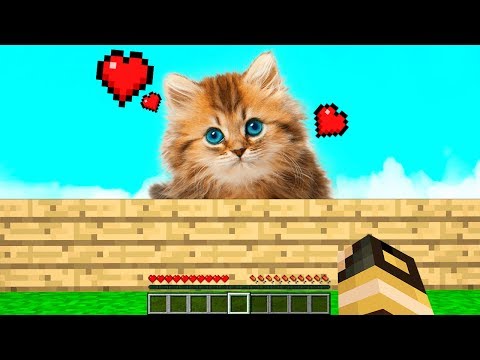 HO ADOTTATO UN GATTINO! - Casa di Minecraft #50