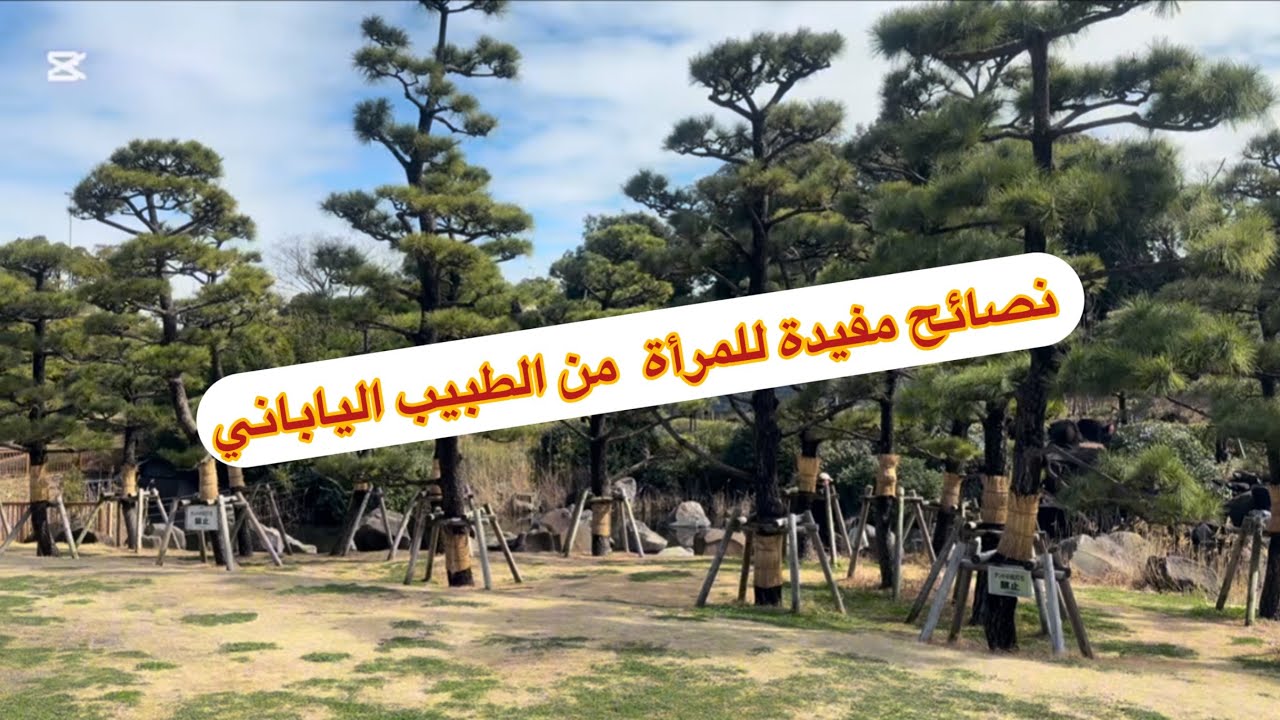 نصائح مفيدة للمرأة من الطبيب الياباني 