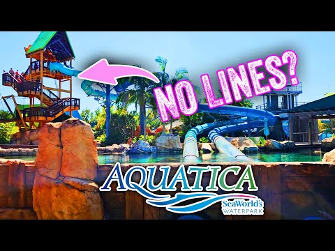 Aquatica Orlando Honest Review: Worth It in the Spring?