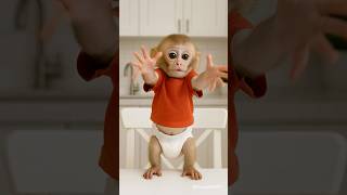 Download lagu sharing donut is caring for baby monkey ❤️🐵🍩 mp3 Download lagu sharing donut is caring for baby monkey ❤️🐵🍩 mp3