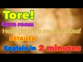 Dero Tore Tore Cave Room DETAILED Explain In 2 MINUTES Part 29