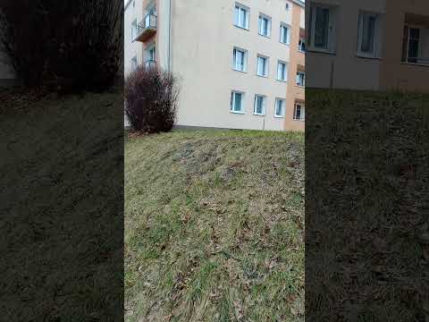 Kolega poszedł na tym specu 🚲 #bikestunt