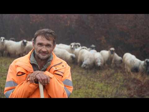 OD OVACA  SAM  DOKTORA  IŠKOLOVAO