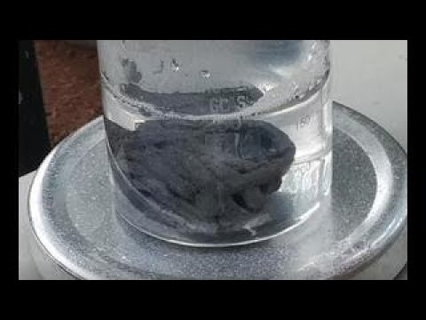 Reduction of Barium Nitrate to Barium Nitrite Using Freshly Made Lead Sponge #barium #nitrate