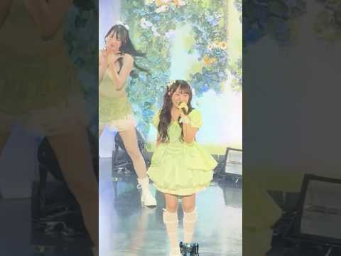 むくチッケム「おやすみロマンス」