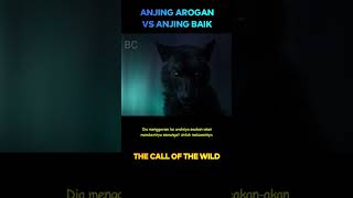 Download lagu (P2) Arrogant leader vs good dog #film trailer mp3