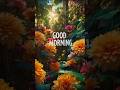 Good Morning Status Video Music Shortsfeed