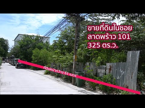 ขายที่ดิน ลาดพร้าว 101  ขนาด 249ตร.ว. หน้ากว้าง 50*20 เมตร – รูปที่ 2
