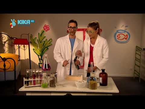 Anke, Denis und die Wissenschaftsshow "Hammer und Nagel" - Die Sendung mit dem Elefanten, Folge 420