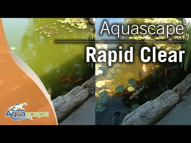 Clear Pond Water with Aquascape Rapid Clear