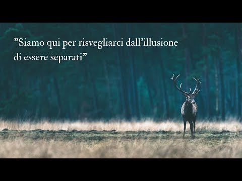 Diretta di presentazione del Video-Corso Fiamme Gemelle