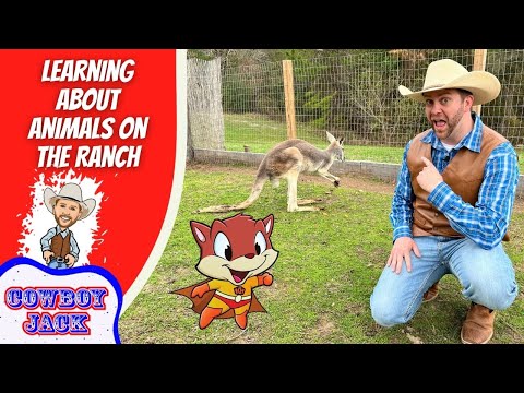 Man in cowboy hat and vest kneels on grass, pointing at a cartoon fox superhero and a real kangaroo near a fenced pen on a ranch set.