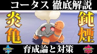 コータス ポケットモンスター ムシャーナ ドンカラス マダツボミ コータス ポケットモンスター ムシャーナ ドンカラス マダツボミ