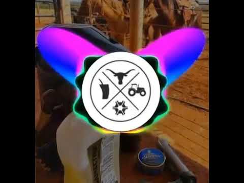 Felipe e Murilo ft . Ana Castela - O lá na roça