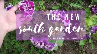 NEW South Garden | Work in Progress | May 2020