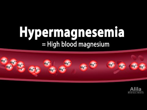 Carbohydrate Structure and Metabolism an Overview Animation