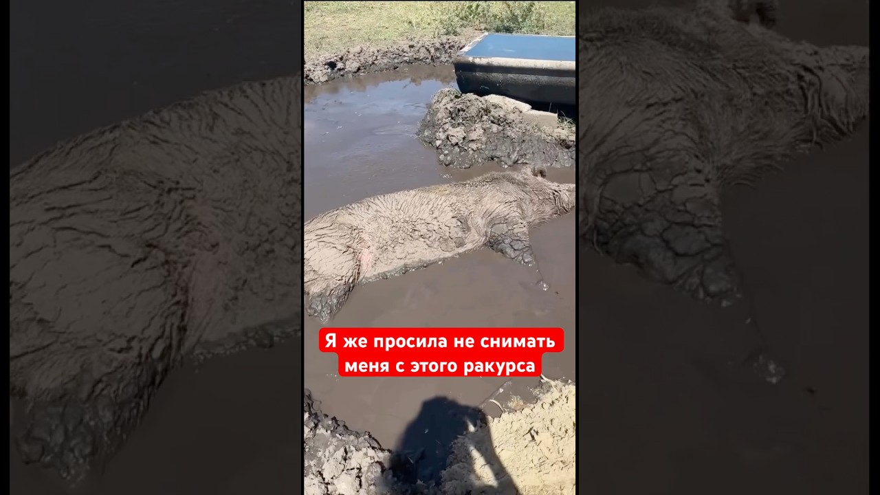 Я же просила не снимать меня с этого ракурса